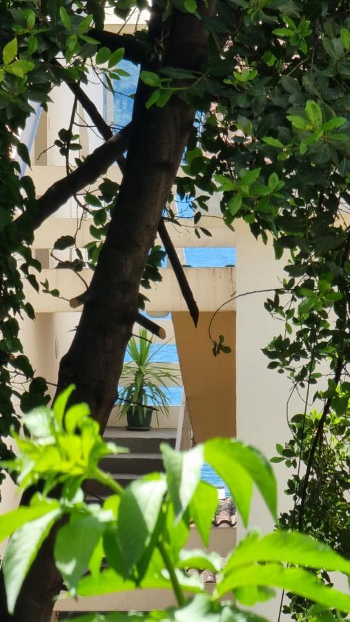 Apartment Savina Herceg Novi Exterior photo